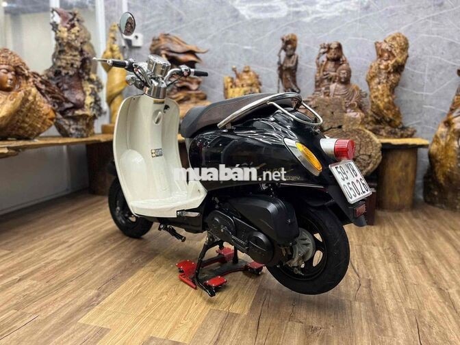 Scoopy 50cc đời 2019 dàn áo đẹp, máy zin êm.odo 5k