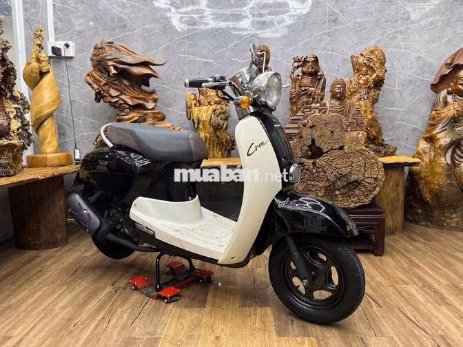 Scoopy 50cc đời 2019 dàn áo đẹp, máy zin êm.odo 5k