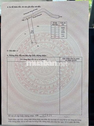Đất thổ cư đường ô tô ngay trung tâm thị Trấn Cần Giuộc