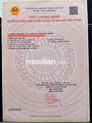 Đất thổ cư đường ô tô ngay trung tâm thị Trấn Cần Giuộc