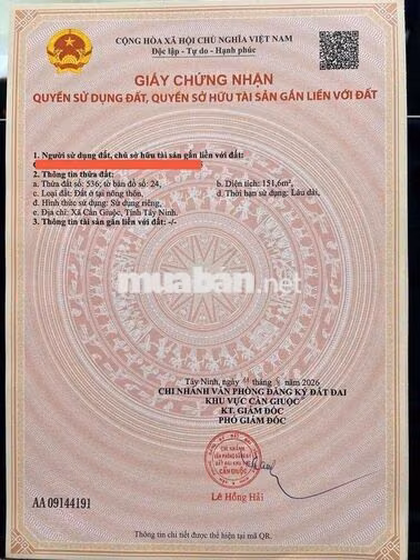 Đất thổ cư đường ô tô ngay trung tâm thị Trấn Cần Giuộc