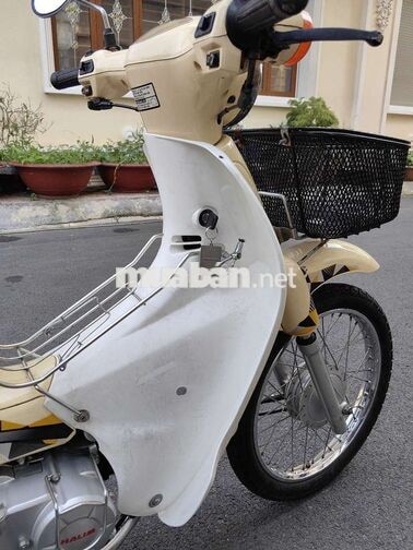 Honda Cub 50cc 2019 Kem Gia Lai
