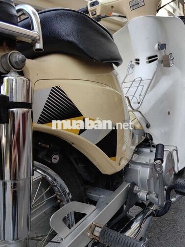 Honda Cub 50cc 2019 Kem Gia Lai