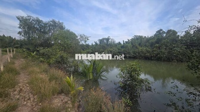 BÁN ĐẤT SINH THÁI 1.600m² Có 510m² THỔ CƯ TẠI AN THỚI ĐÔNG, CẦN GIỜ