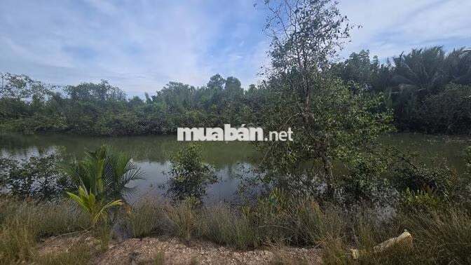 BÁN ĐẤT SINH THÁI 1.600m² Có 510m² THỔ CƯ TẠI AN THỚI ĐÔNG, CẦN GIỜ