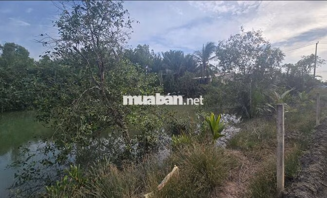 BÁN ĐẤT SINH THÁI 1.600m² Có 510m² THỔ CƯ TẠI AN THỚI ĐÔNG, CẦN GIỜ