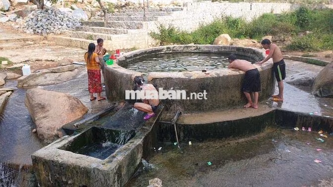 BÁN ĐẤT TRỒNG CÂY ĐẠ LONG LÂM ĐỒNG CHÍNH CHỦ