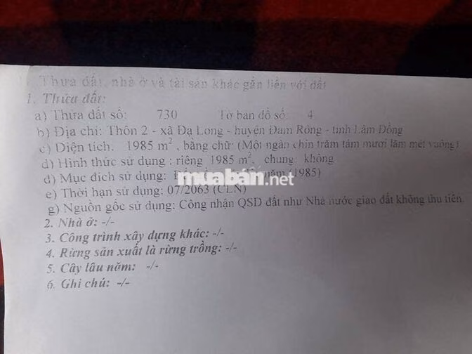 BÁN ĐẤT TRỒNG CÂY ĐẠ LONG LÂM ĐỒNG CHÍNH CHỦ
