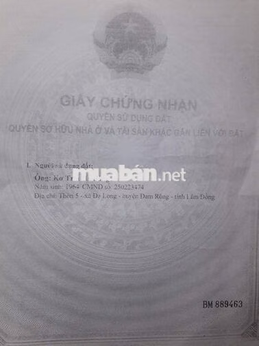 BÁN ĐẤT TRỒNG CÂY ĐẠ LONG LÂM ĐỒNG CHÍNH CHỦ