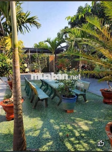 🏘️ Nhà sân vườn fun nội thất, Ng Thị Ngâu,gần Trịnh Thị Miếng, TTT 🏘️