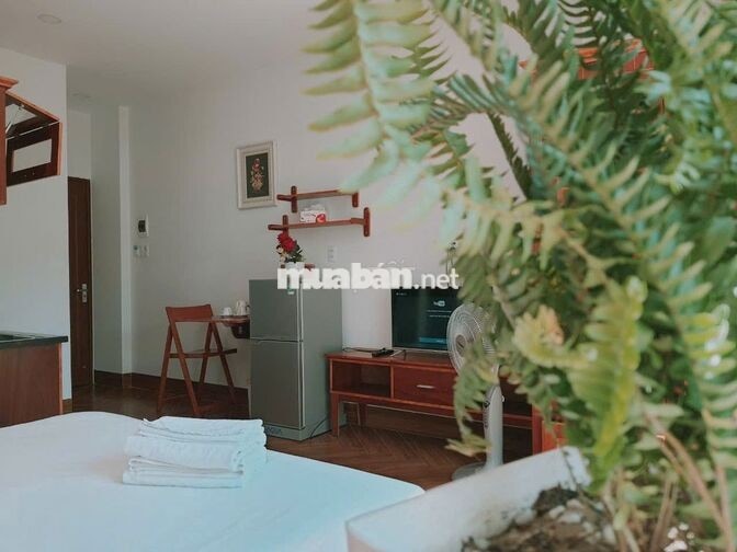 Cho thuê căn hộ 35m2, có ban công, ngay cầu rồng, gần biển Mỹ Khê