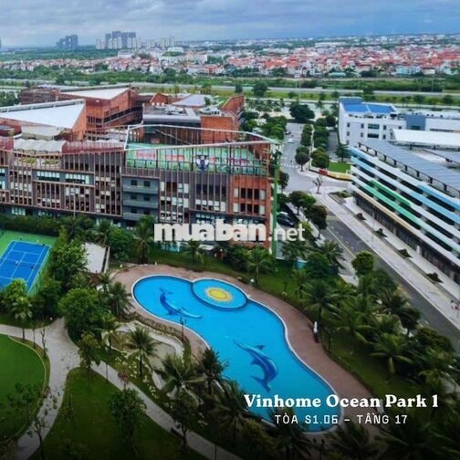 Cc cho thuê căn hộ 1n+ (1wc) toà S1.06 Ocean Park, vị trí siêu đẹp 