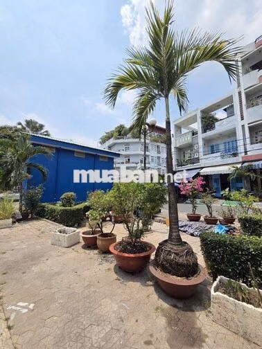 🔥 MẶT TIỀN BÌNH PHÚ 2 – ĐỐI DIỆN CÔNG VIÊN – NHỈNH 9 TỶ 🔥