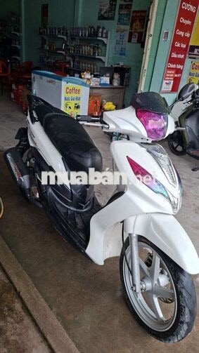 SYM Shark Trắng Xe tay ga