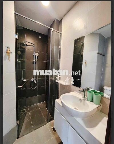 🏝️Cho Thuê Căn Hộ Studio - 1PN Gần Khu Phan Xích Long Giá Chỉ 7Tr/Th🏝️