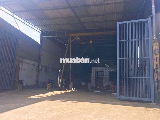 Hàng hiếm tại QL51, Long Phước, Đồng Nai, 11 tỷ,làm Kho bãi,Nhà xưởng 