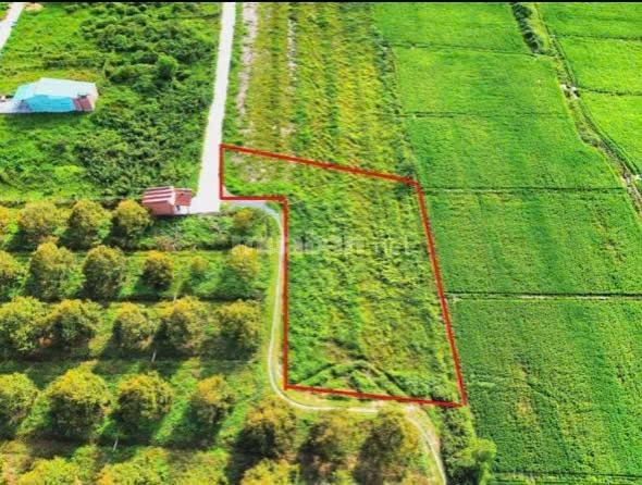 1000m2 Gần KCN Hiệp Thạnh. Xây trọ hoặc làm nhà vườn.  980tr 