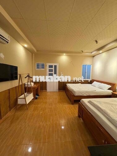 căn hộ studio cách bãi sau 10p đi bộ