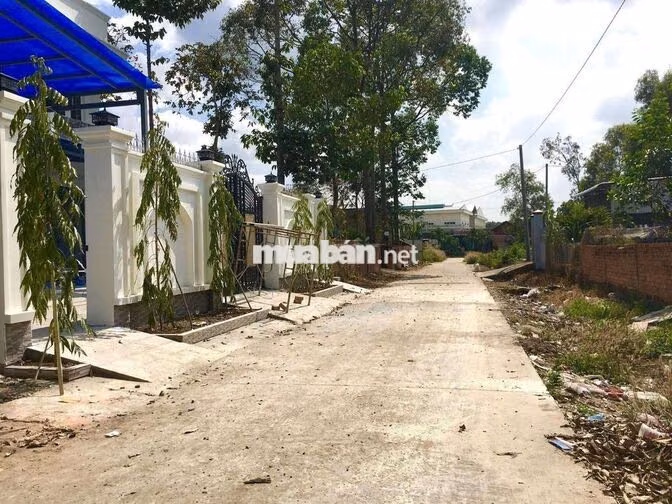 Hàng hiếm tại QL51, Long Phước, Đồng Nai, 11 tỷ,làm Kho bãi,Nhà xưởng 