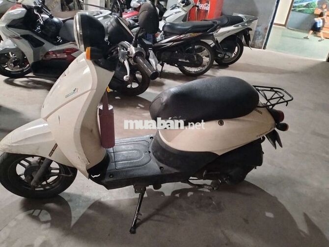 Honda Today 50cc Trắng Nữ