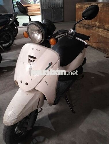 Honda Today 50cc Trắng Nữ