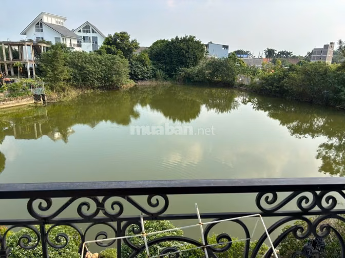 Cho thuê một căn biệt thự đơn lập cao cấp ở khu đô thị New House City