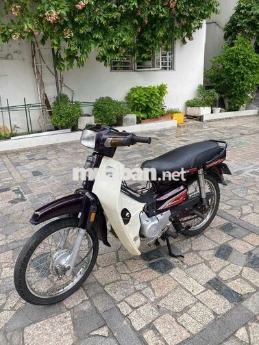 xe dream hàn quốc