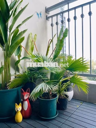 Giá tốt 4PN 46 triệu - 142m2 - Full nội thất - LH Cozy Home