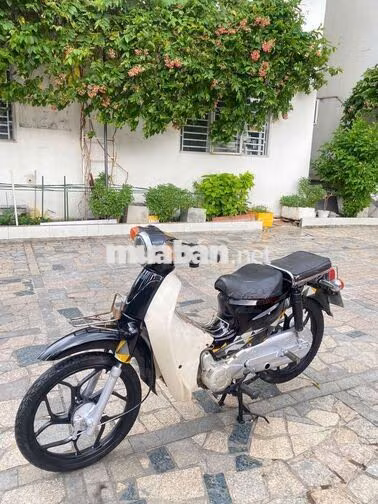 Honda Cub 50cc hàn quốc