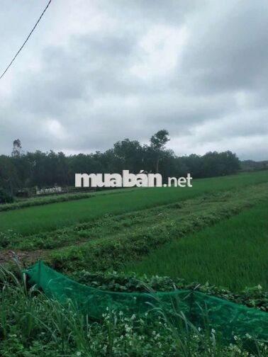 nhượng lại lô đất cho người hữu duyên 