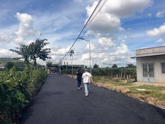 KHÍ HẬU THÌ MÁT LẠI SÁT ĐÀ LẠT- DT724- QL20- ĐỨC TRỌNG- LÂM ĐỒNG
