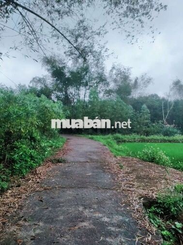 nhượng lại lô đất cho người hữu duyên 