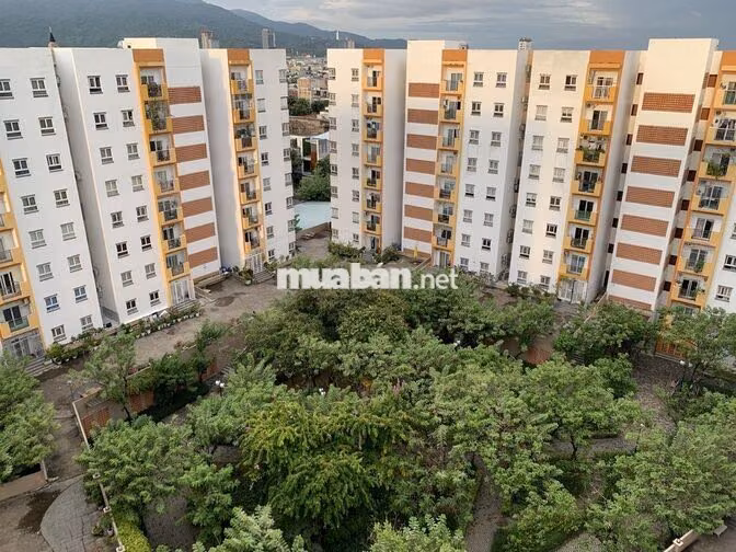 Cho thuê căn hộ chung cư nest home (cho thuê từ tháng 10)