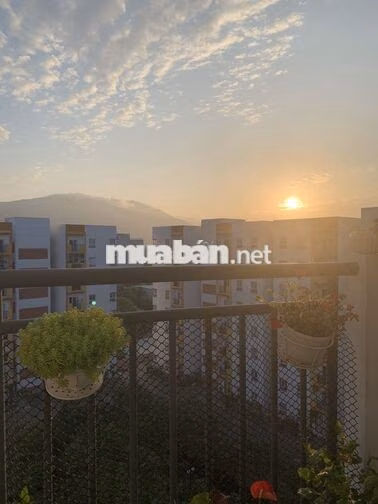 Cho thuê căn hộ chung cư nest home (cho thuê từ tháng 10)