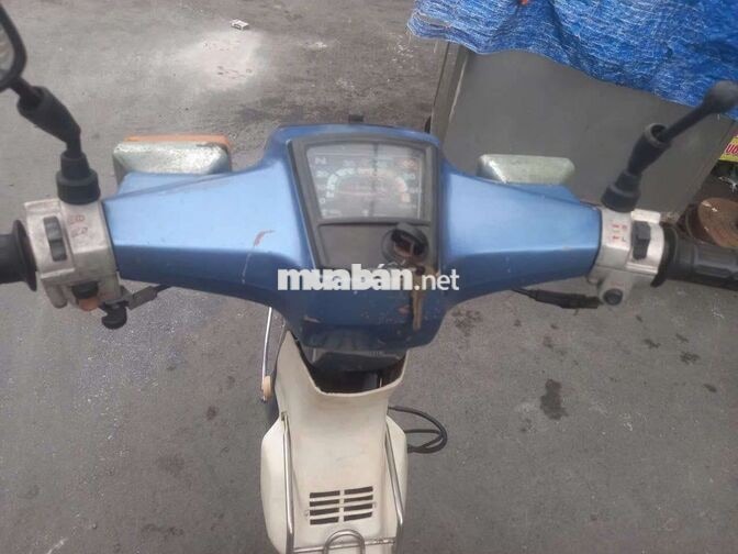 Honda Cup 84 50cc Xanh, Trắng