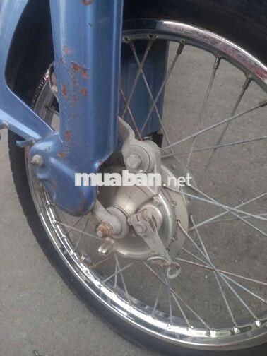 Honda Cup 84 50cc Xanh, Trắng