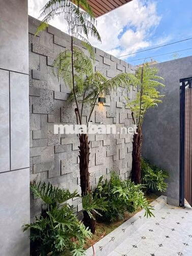 Chính Chủ Cần Bán Nhà Đường Mai Hắc Đế