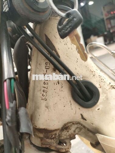 Honda Chaly 81 Trắng Nhật Bản
