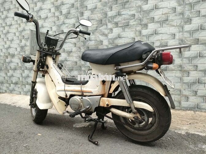 Honda Chaly 81 Trắng Nhật Bản