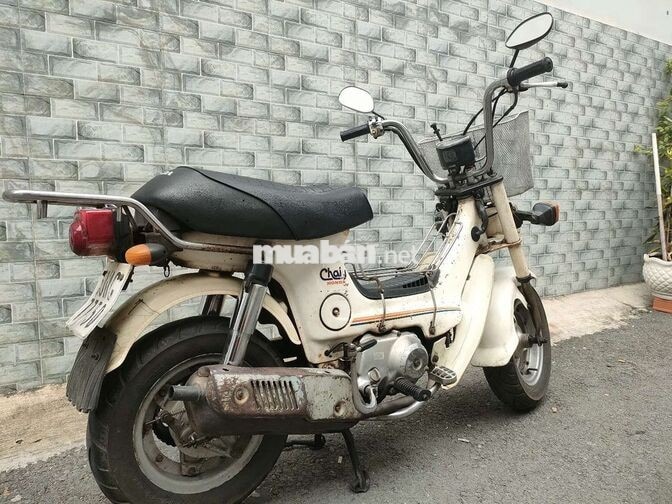 Honda Chaly 81 Trắng Nhật Bản