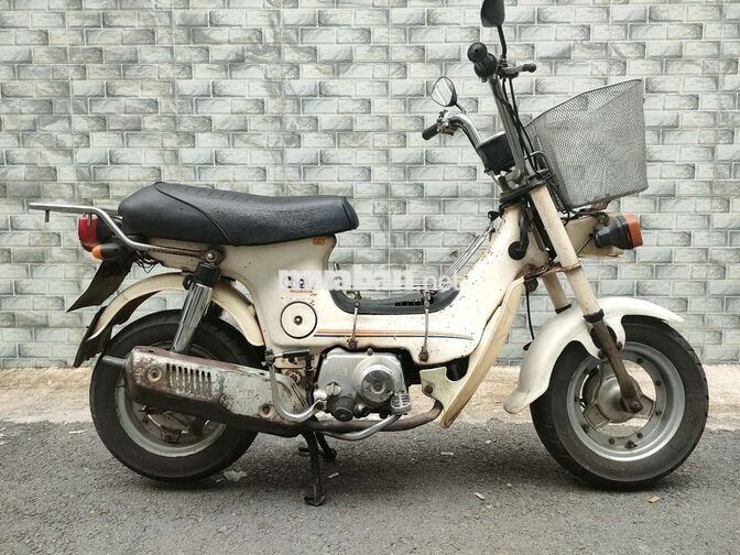 Honda Chaly 81 Trắng Nhật Bản
