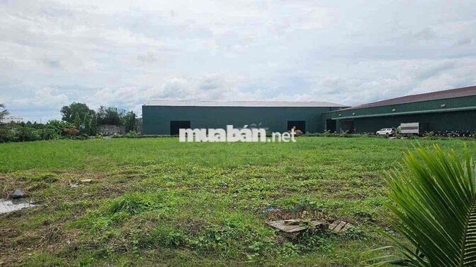 CHO THUÊ KHO 1000m2 Có 300m2 làm showroom Bến Lức Long An