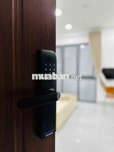 Căn Hộ Studio Ban Công, Thang Máy, Hầm Xe, Ngay Khu Chợ Bà Chiểu