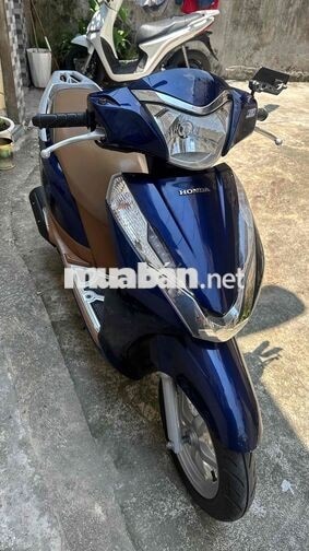 Honda Lead Xanh, Nâu