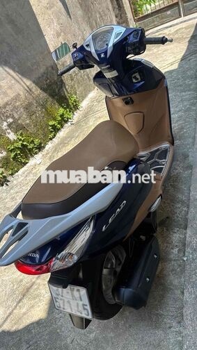 Honda Lead Xanh, Nâu