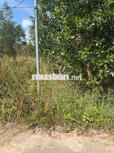 Đất gần khu du lịch núi Chứa Chang
