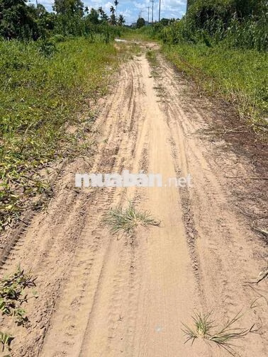 Bán nền biệt thự trung tâm Phong Điền