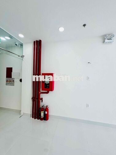 cho thuê mặt tiền đường cống quỳnh ( khu phố tây bùi viện)