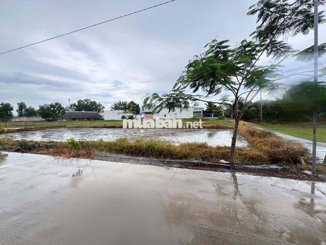 Bán Đất Trồng Cây Xã Đức Hoà Thượng, Long An