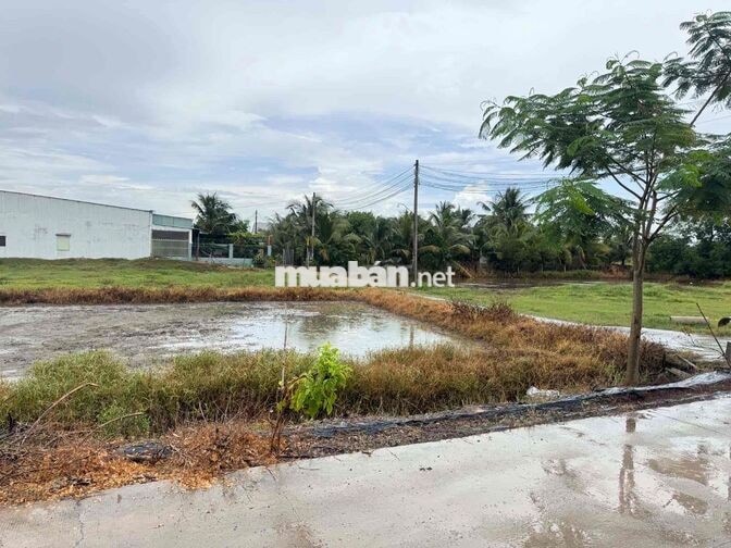 Bán Đất Trồng Cây Xã Đức Hoà Thượng, Long An